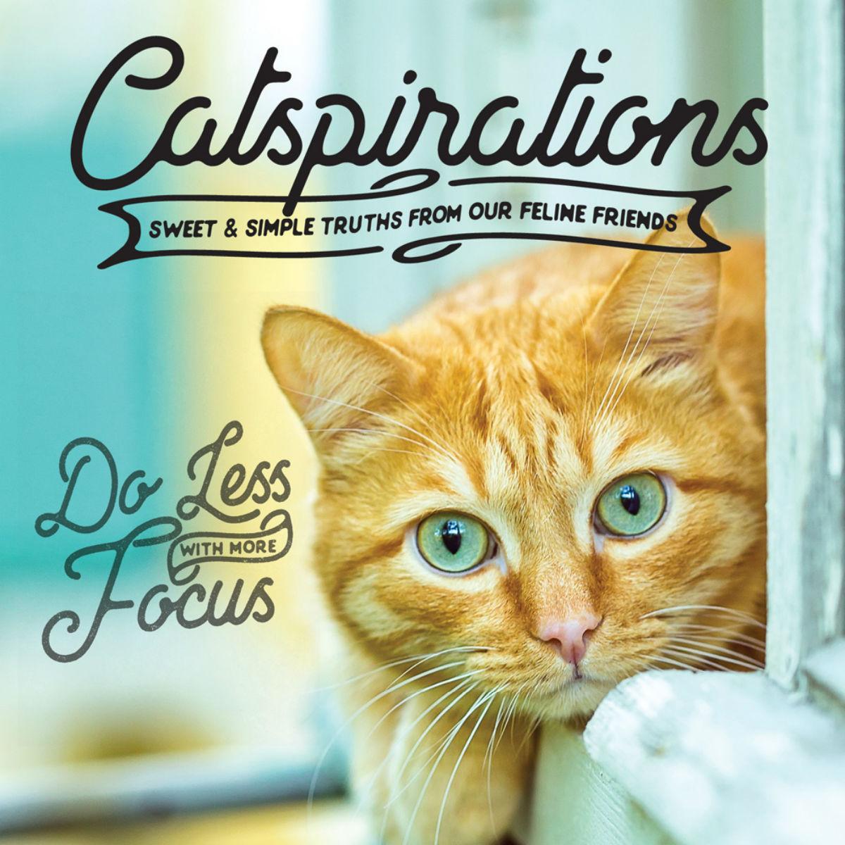 Catspirations Book for Human; Sweet and Simple Truths From Our Feline Friends