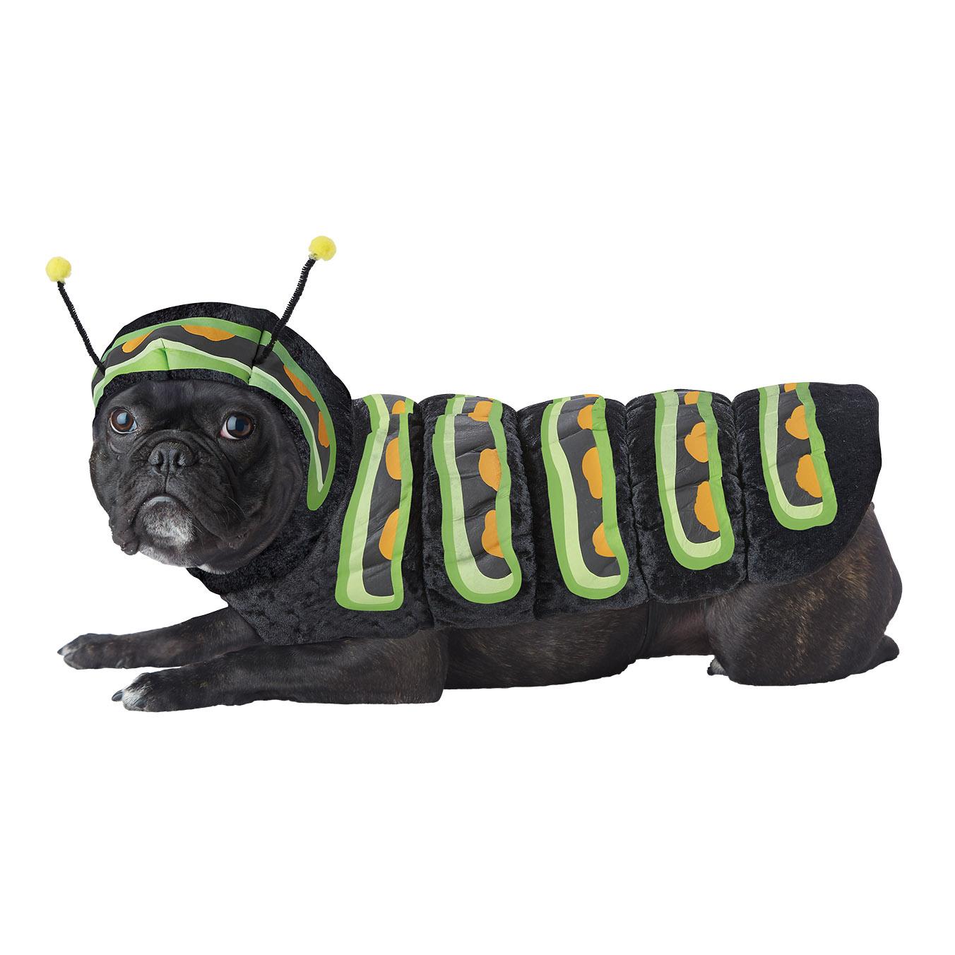 Caterpillar Halloween Dog Costume