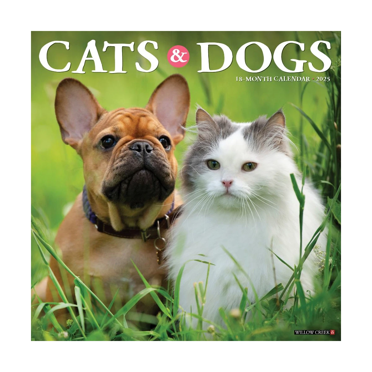 Cats & Dogs 2025 Wall Calendar