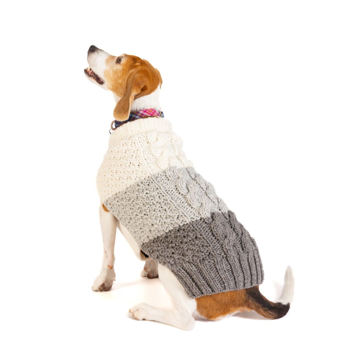 Chilly Dog Handmade Alpaca Cable Knit Dog Sweater - Color Block