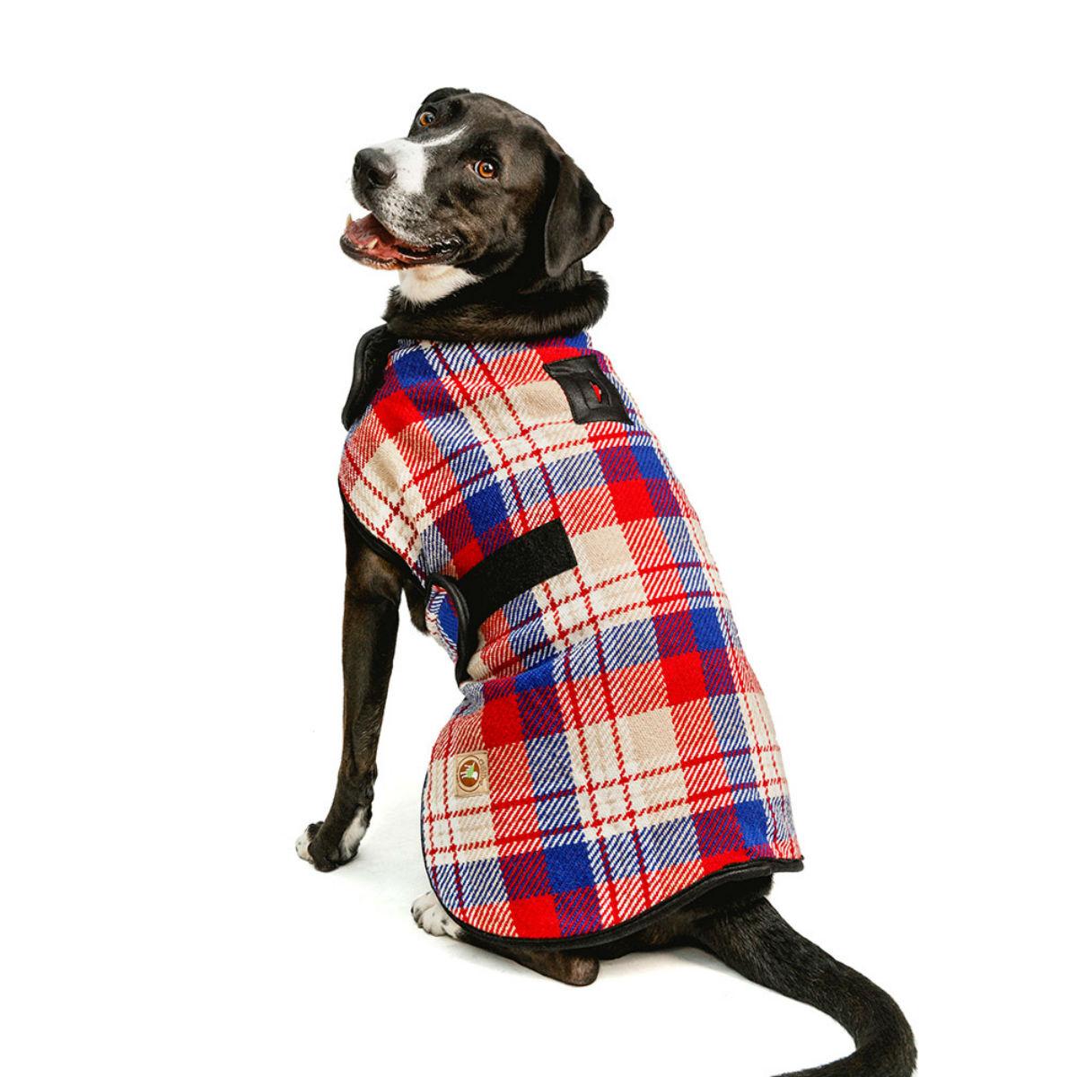 Chilly Dog Red Field Blanket Dog Coat | BaxterBoo