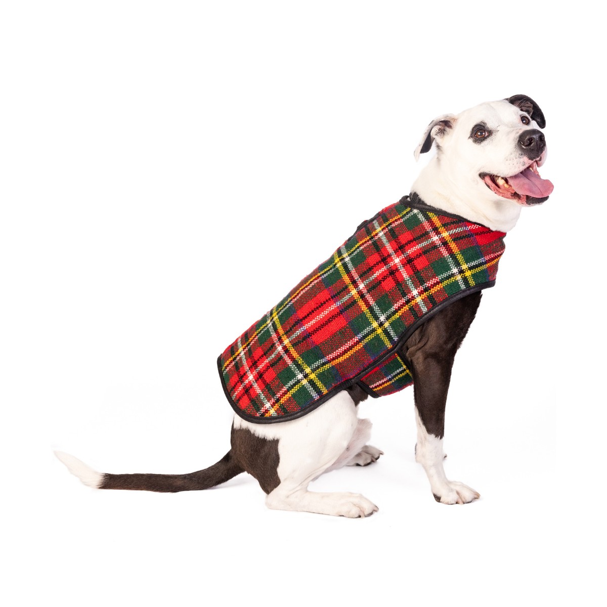 Chilly Dog Plaid Blanket Dog Coat - Red Scotty