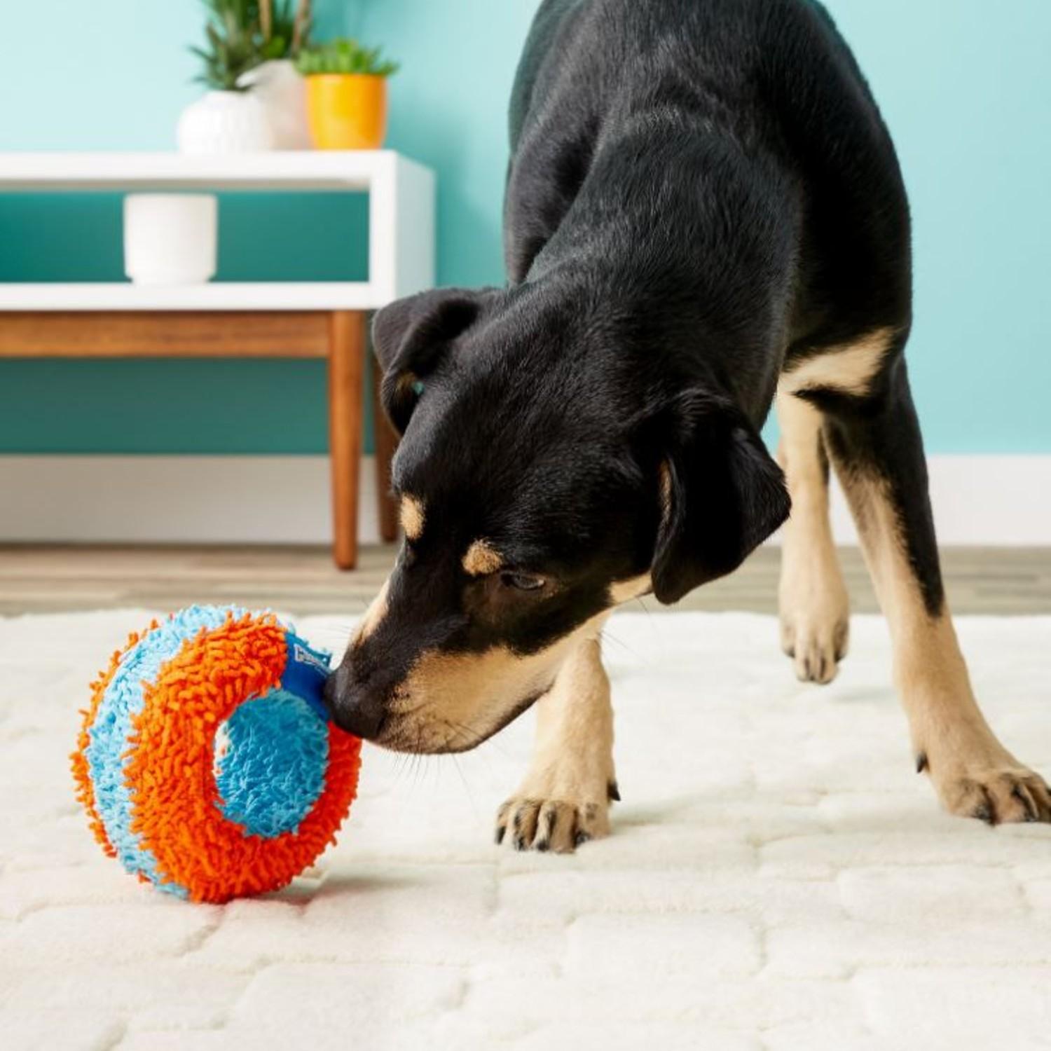 chuckit 213201 indoor ball dog toy