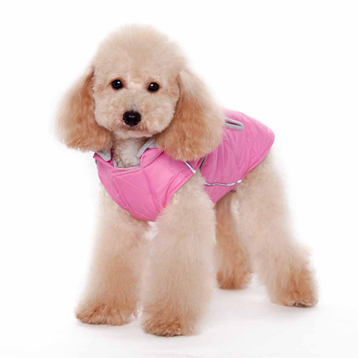 City Puffer Dog Jacket by Dogo - Pink | BaxterBoo