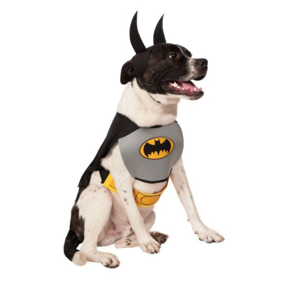 Classic Batman Dog Halloween Costume - Gray