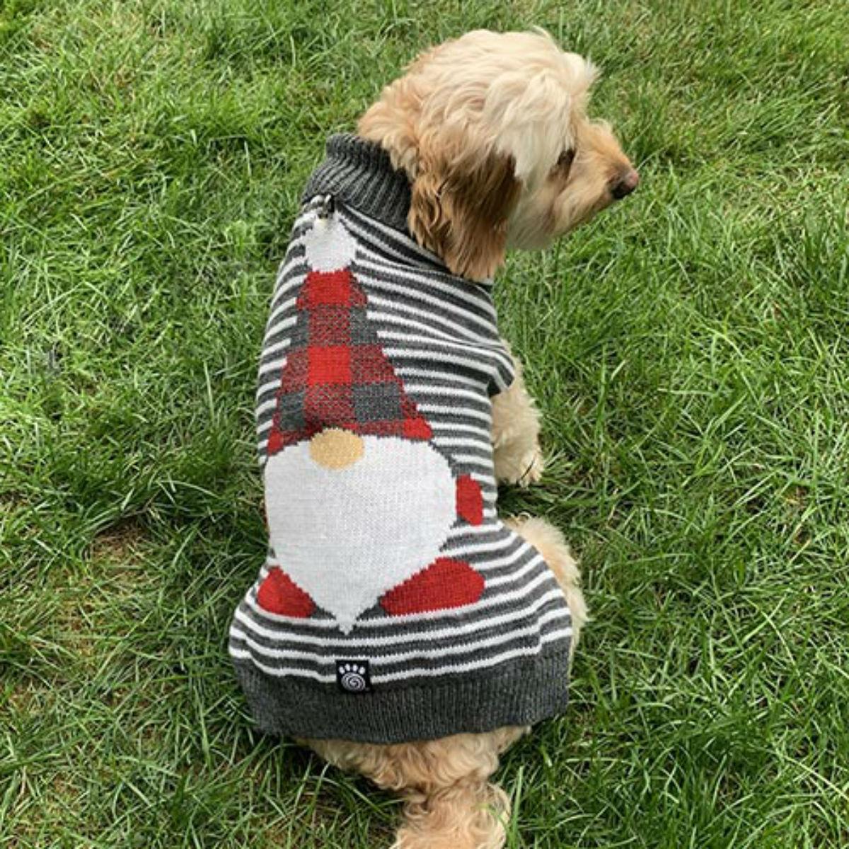 Download Christmas Gnome Striped Dog Sweater By Petrag Baxterboo