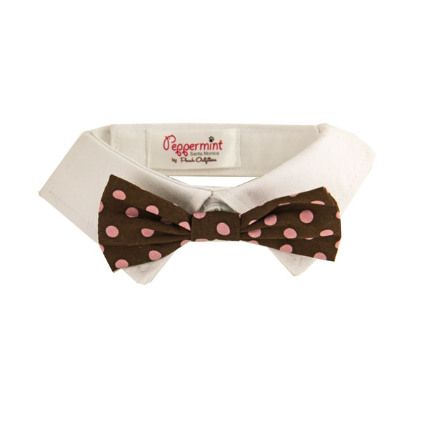 shirt collar for bow tie