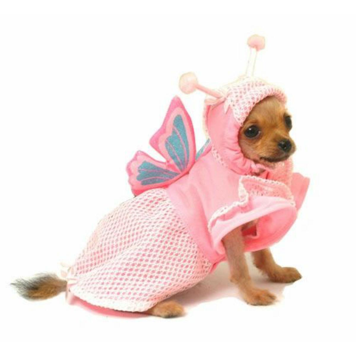 Puppe Love Lady Butterfly Dog Costume