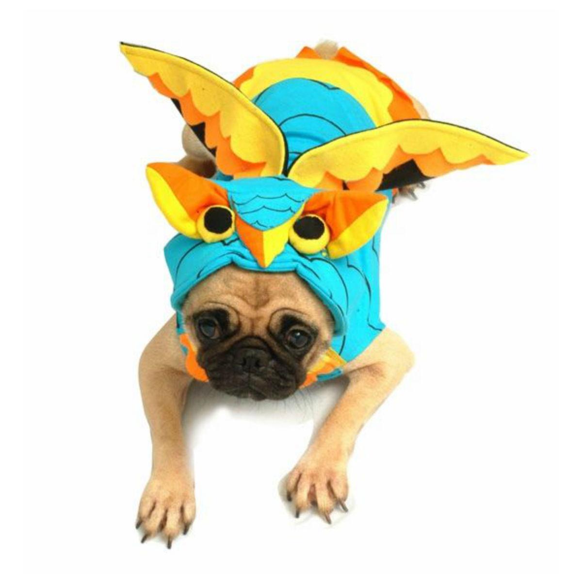 Puppe Love Colorful Owl Dog Costume