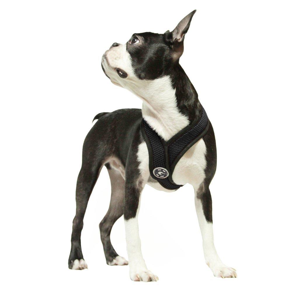 Gooby Comfort x Dog Harness - Black / Large