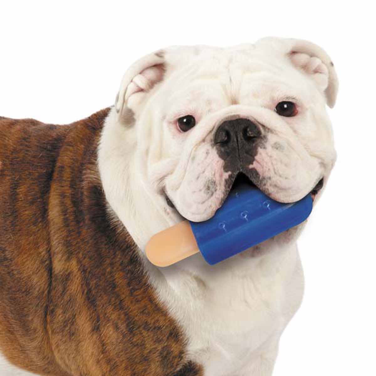 Cool Pup Cooling Dog Toy - Popsicle