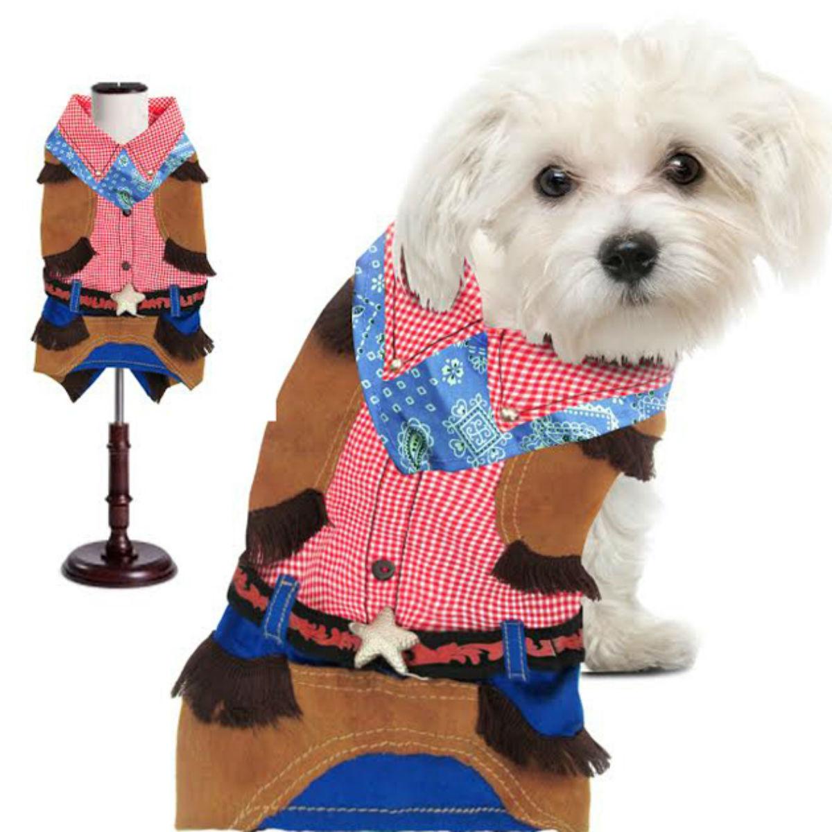 Puppe Love Cowboy Dog Costume