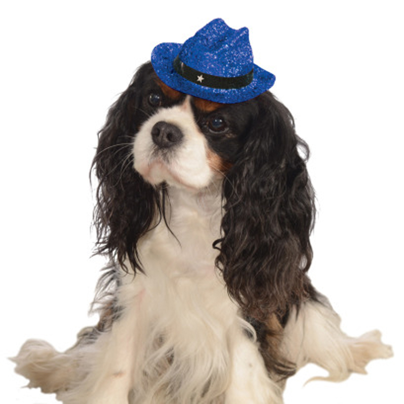 Cowboy Hat Dog Costume - Sparkle Blue
