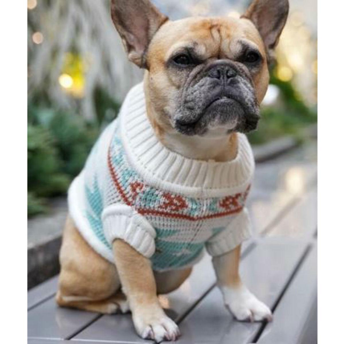 Dog Threads Kindred Spirits Dog Sweater
