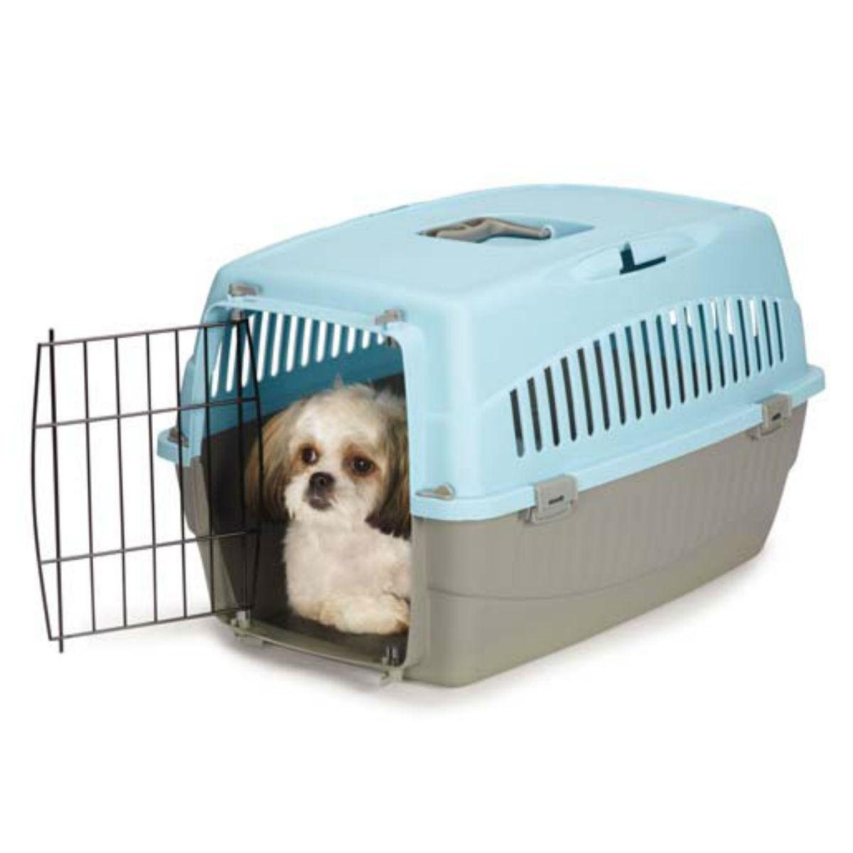 Cruising Companion Carry-Me Dog Crate - Bluebell