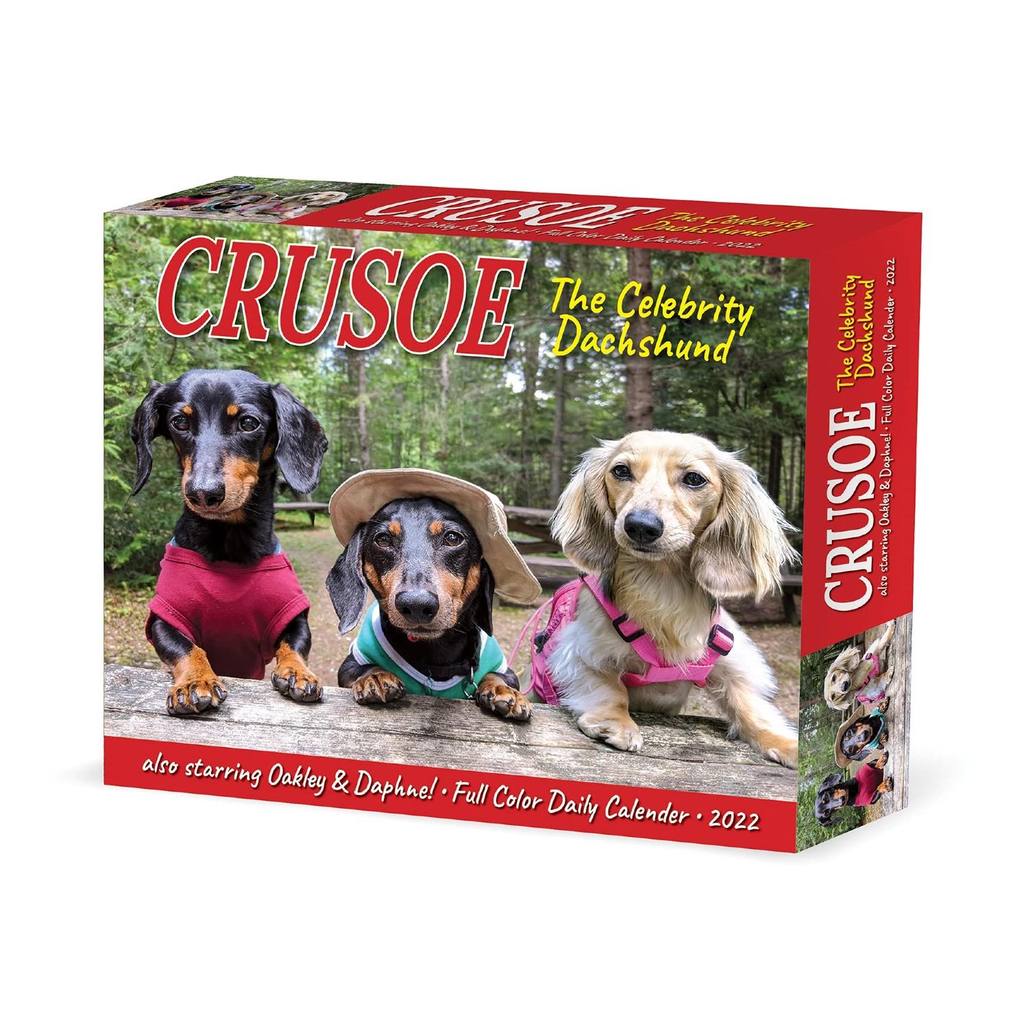 Crusoe the Celebrity Dachshund 2022 Box Calendar