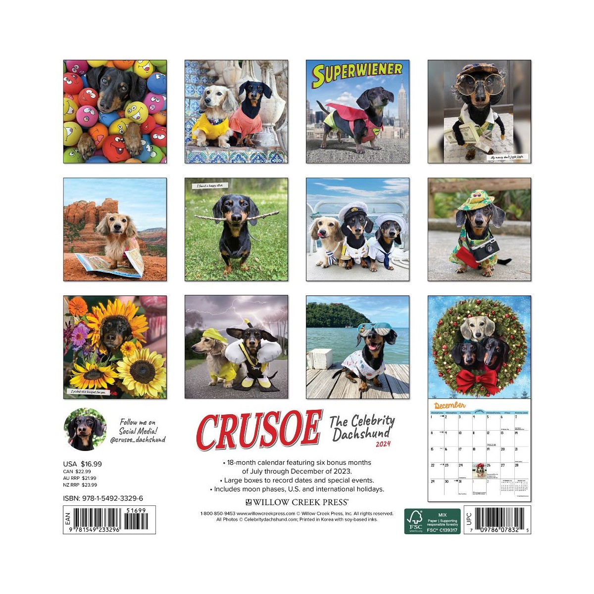 Crusoe The Celebrity Dachshund 2024 Wall Cale BaxterBoo   Crusoe Celebrity Dachshund 2021 Mini Wall Calendar 2394 