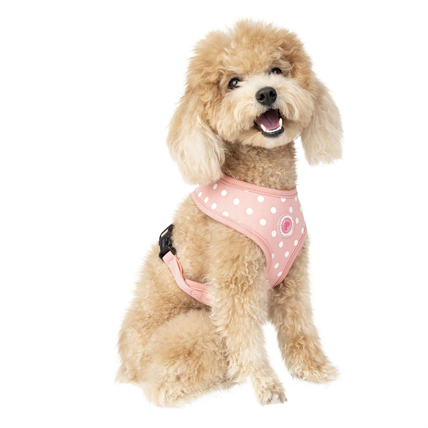 Ida Adjustable Dog Harness by Pinkaholic - Pi... | BaxterBoo