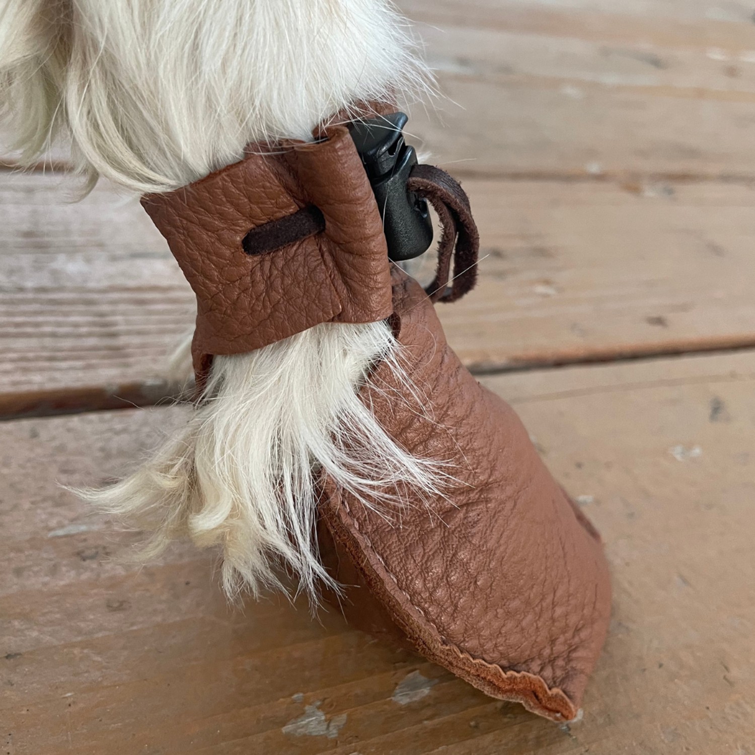 XX-Small Dog Boots & Shoes