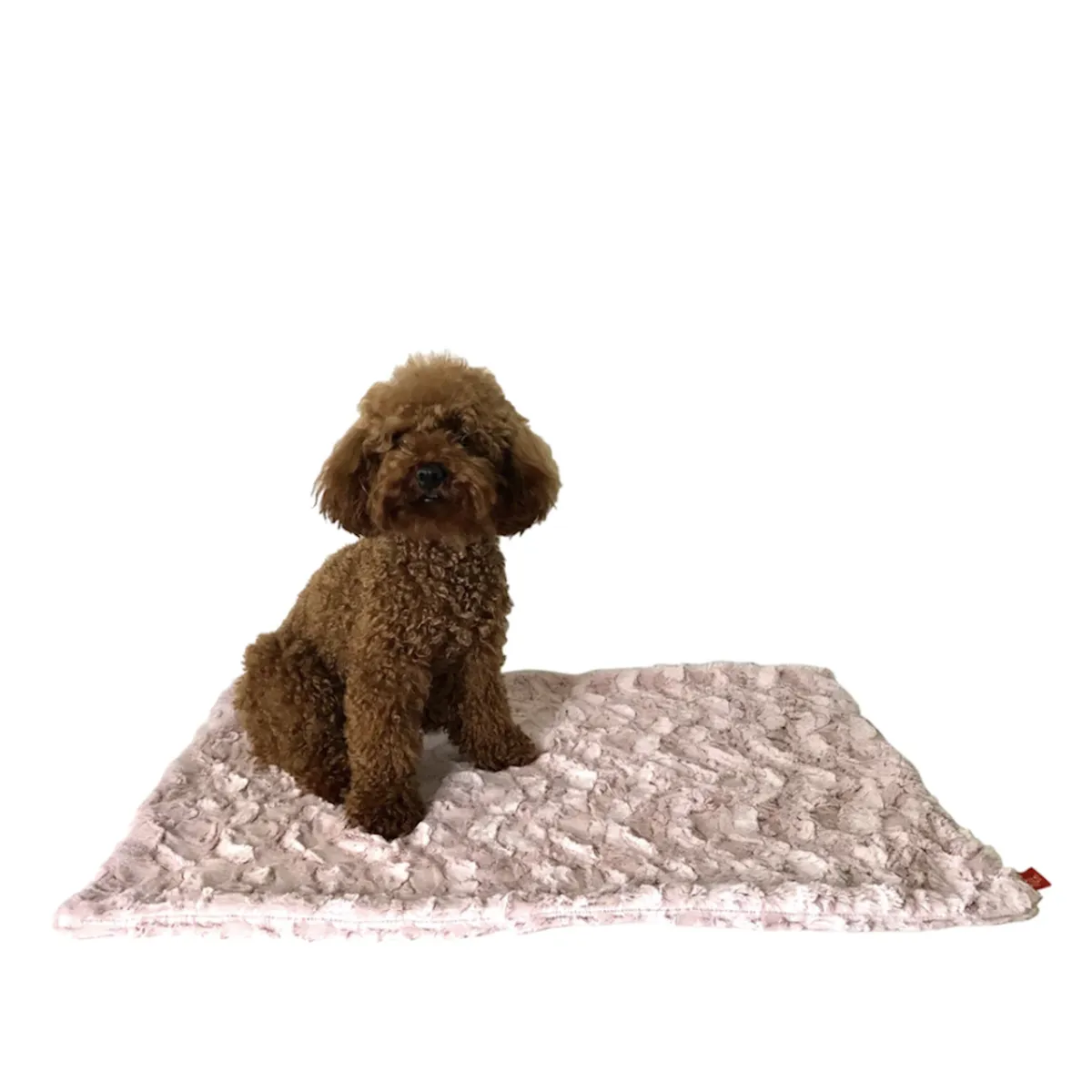 The Dog Squad Bella Dog Blanket - Blush Pink