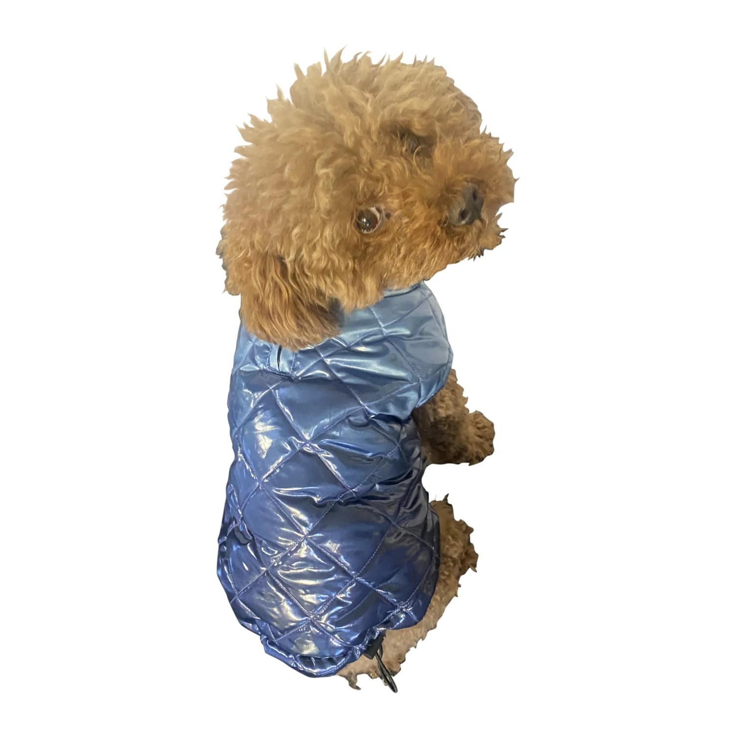 The Dog Squad Coco Puffer Diamond Quilted Dog Coat - Ombre'd Navy