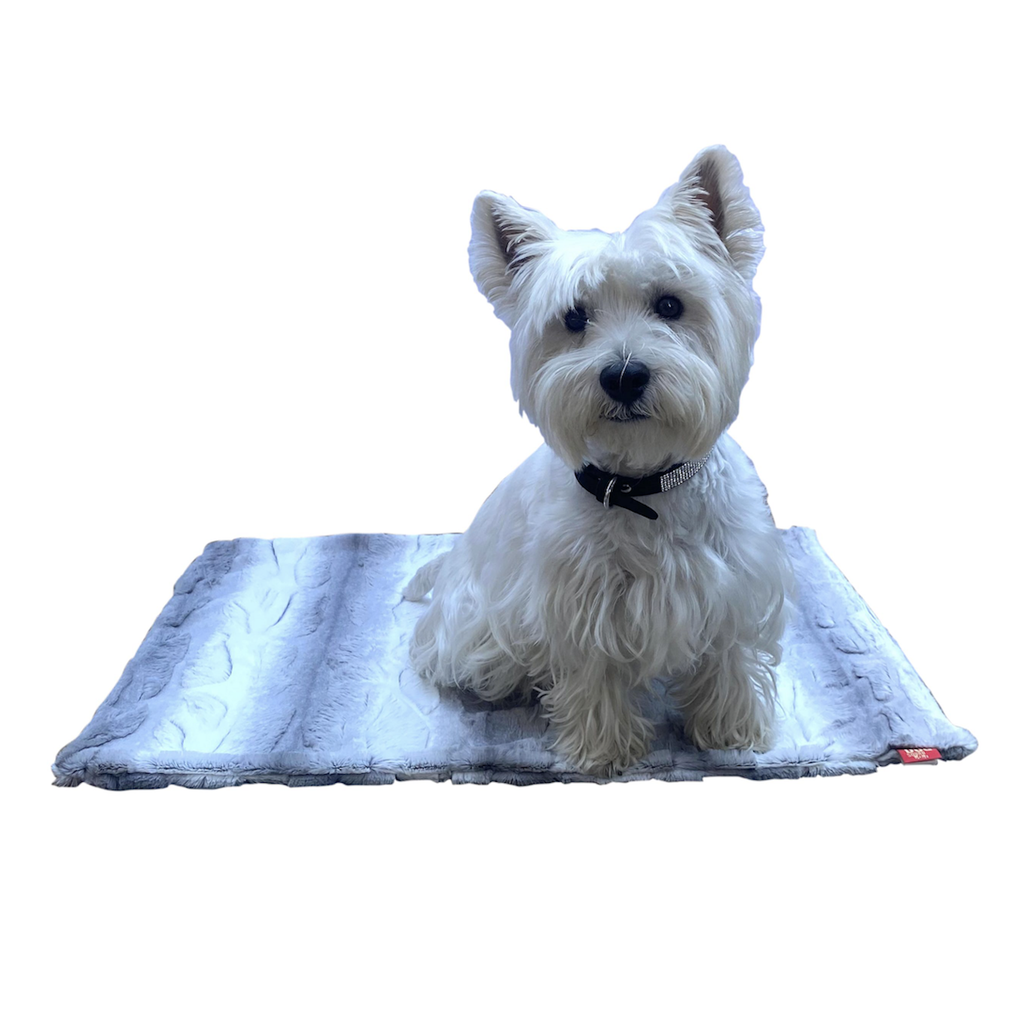 The Dog Squad Dog Blanket - Angora Platinum