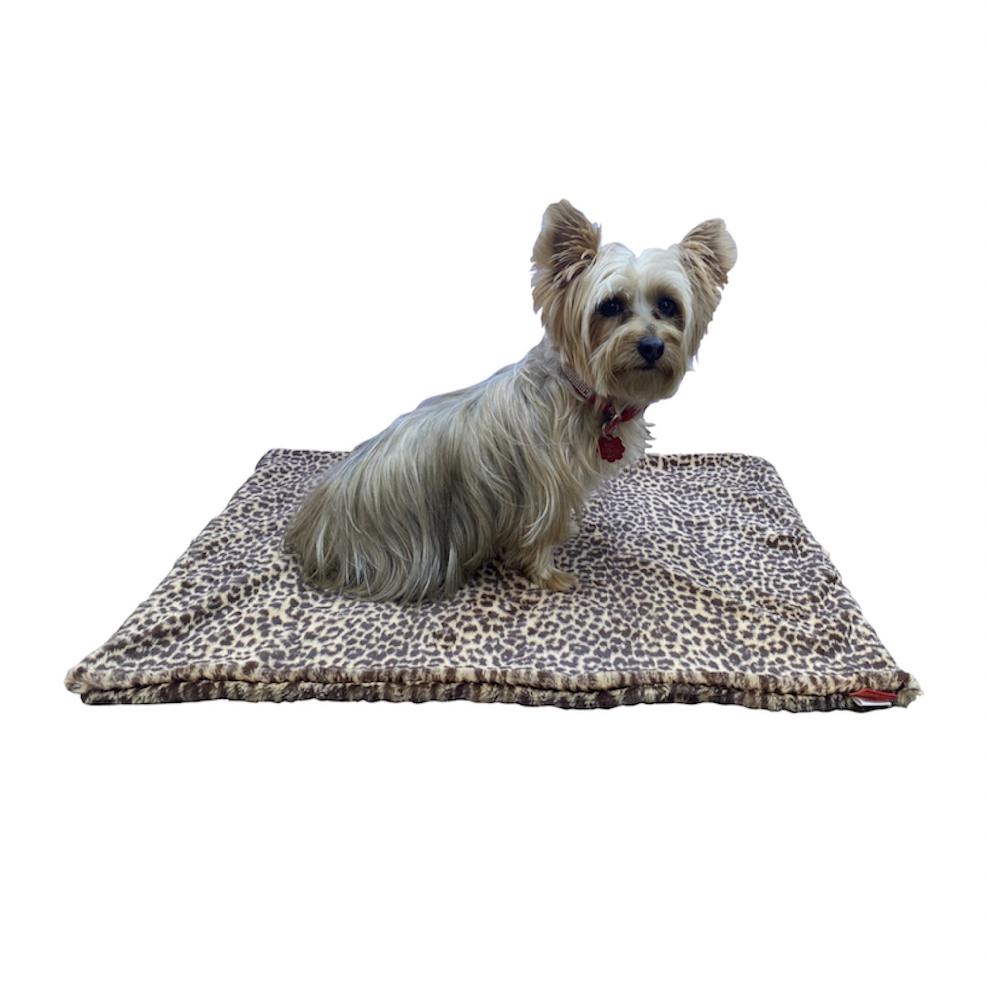 The Dog Squad Dog Blanket - Cheetah