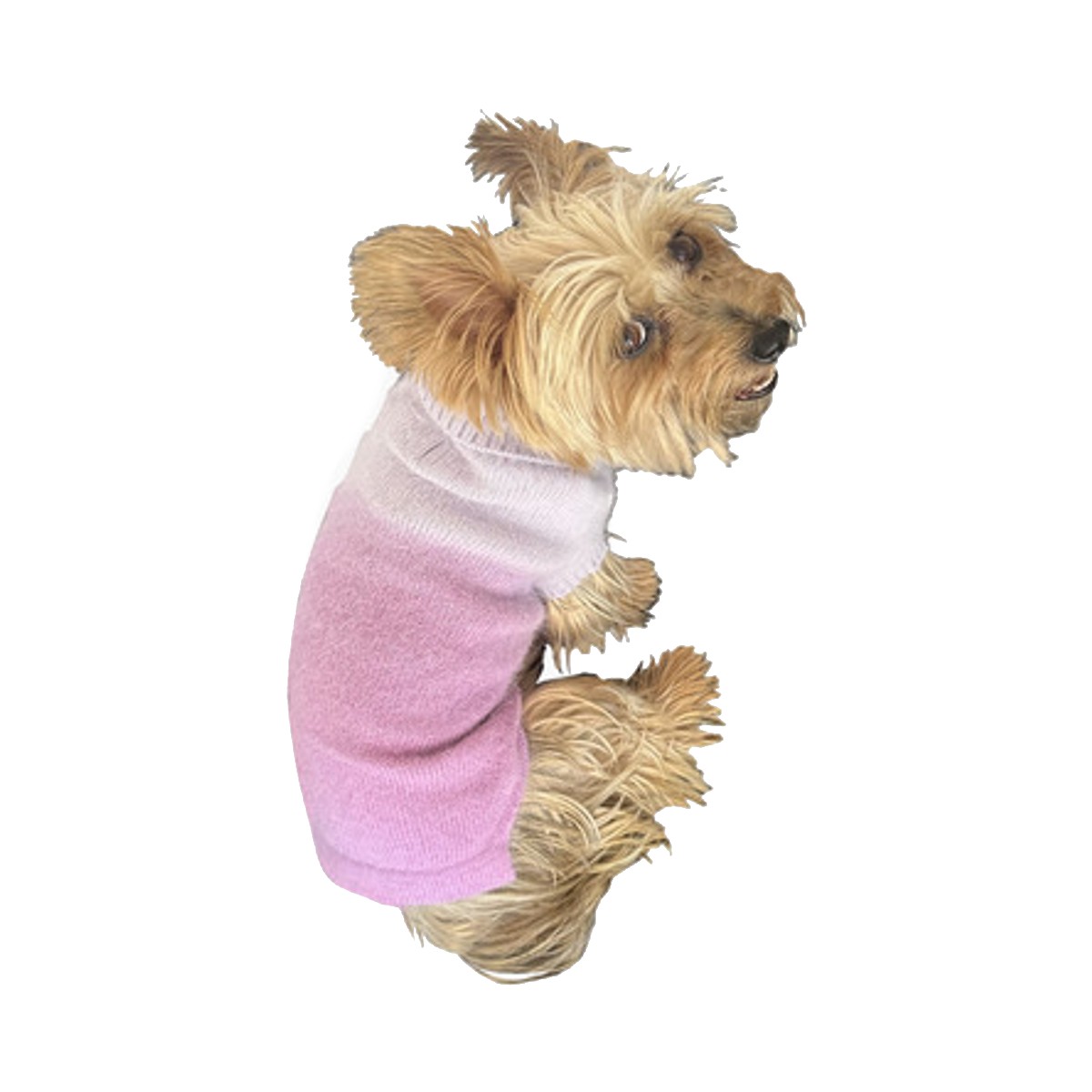The Dog Squad Ombre Dog Sweater - Lilac