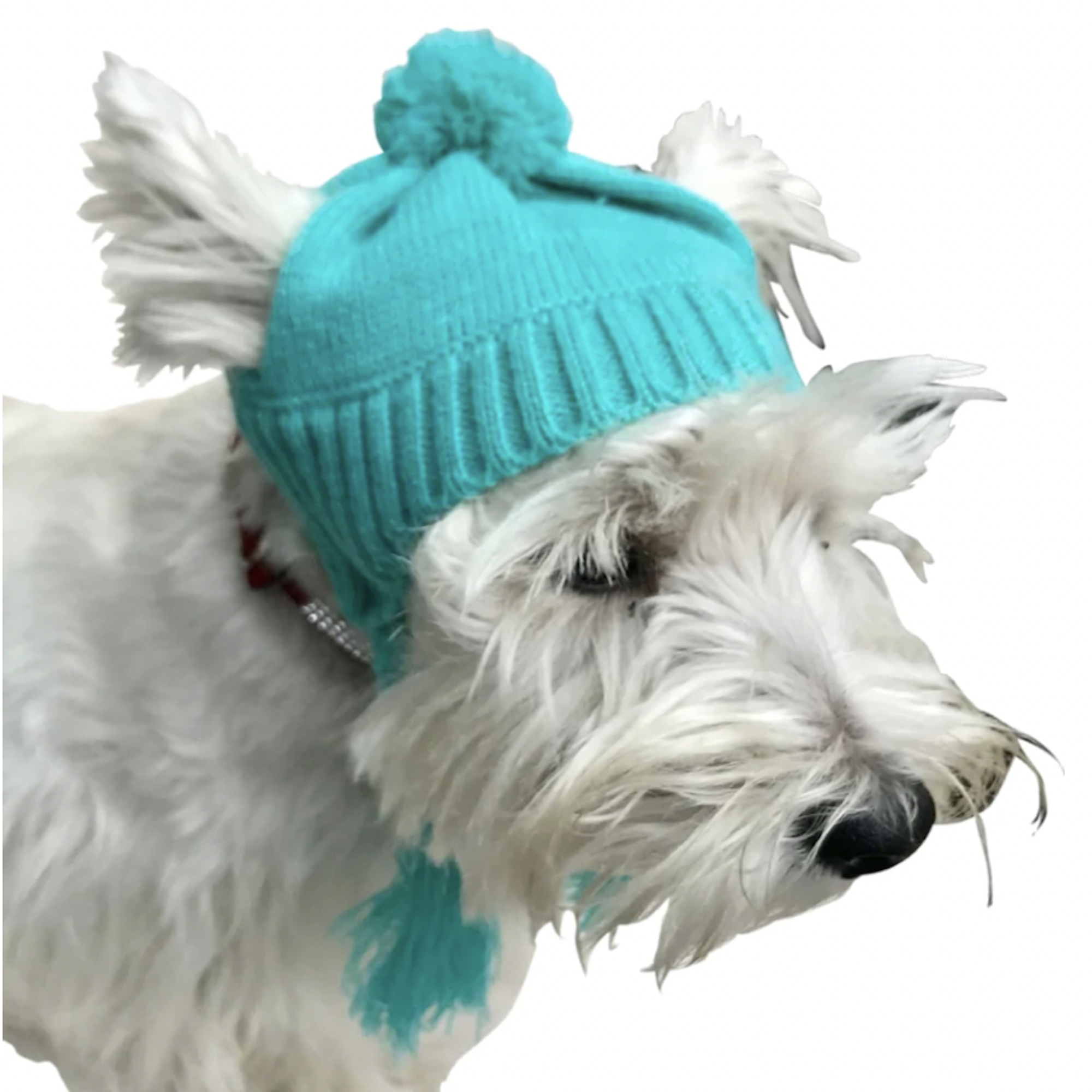 The Dog Squad Scottish Cable Knit Dog Hat Only - Light Turquoise