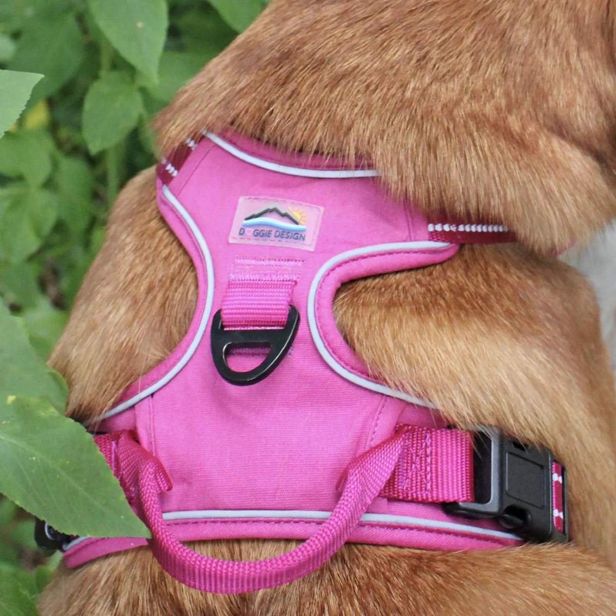 Doggie Design Venture Paw Dog Harness - Wild Raspberry