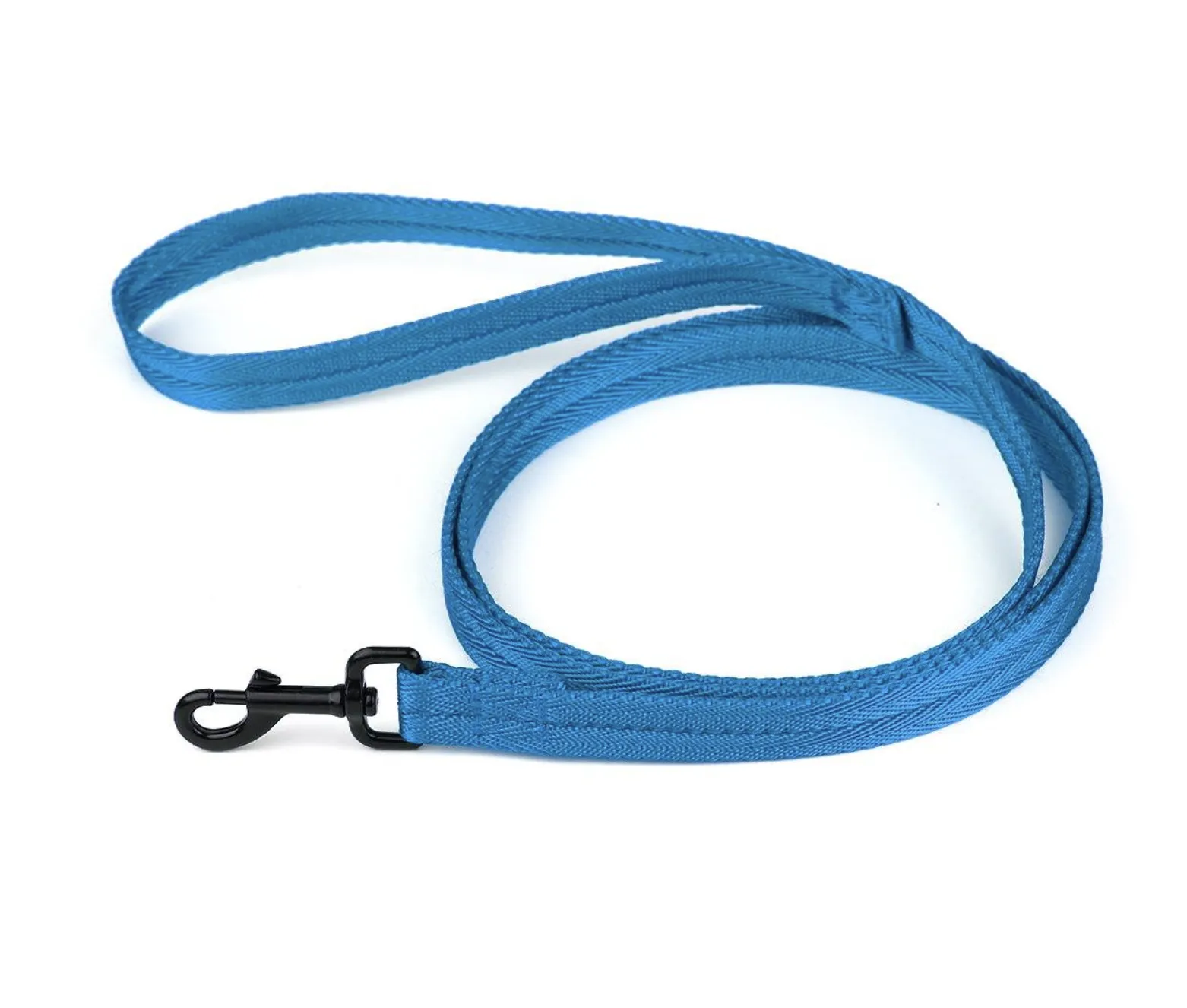 Dogline Flat Nylon Dog Leash - Cyan