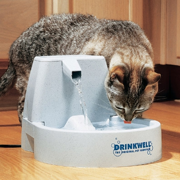 Drinkwell Original Pet Fountain | BaxterBoo