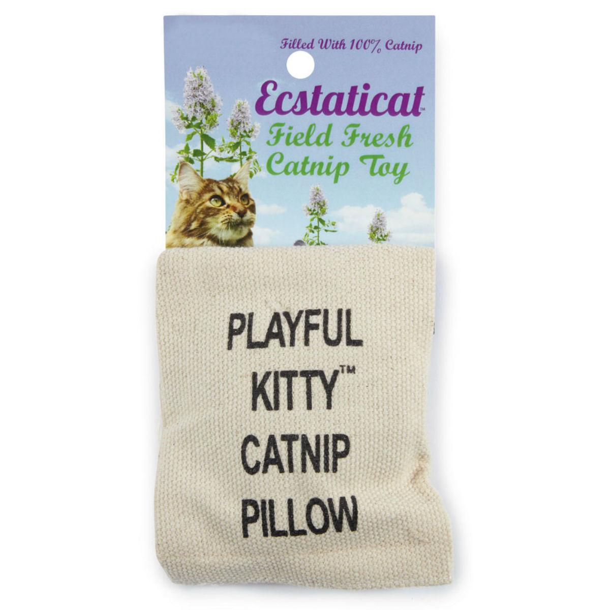 catnip body pillow