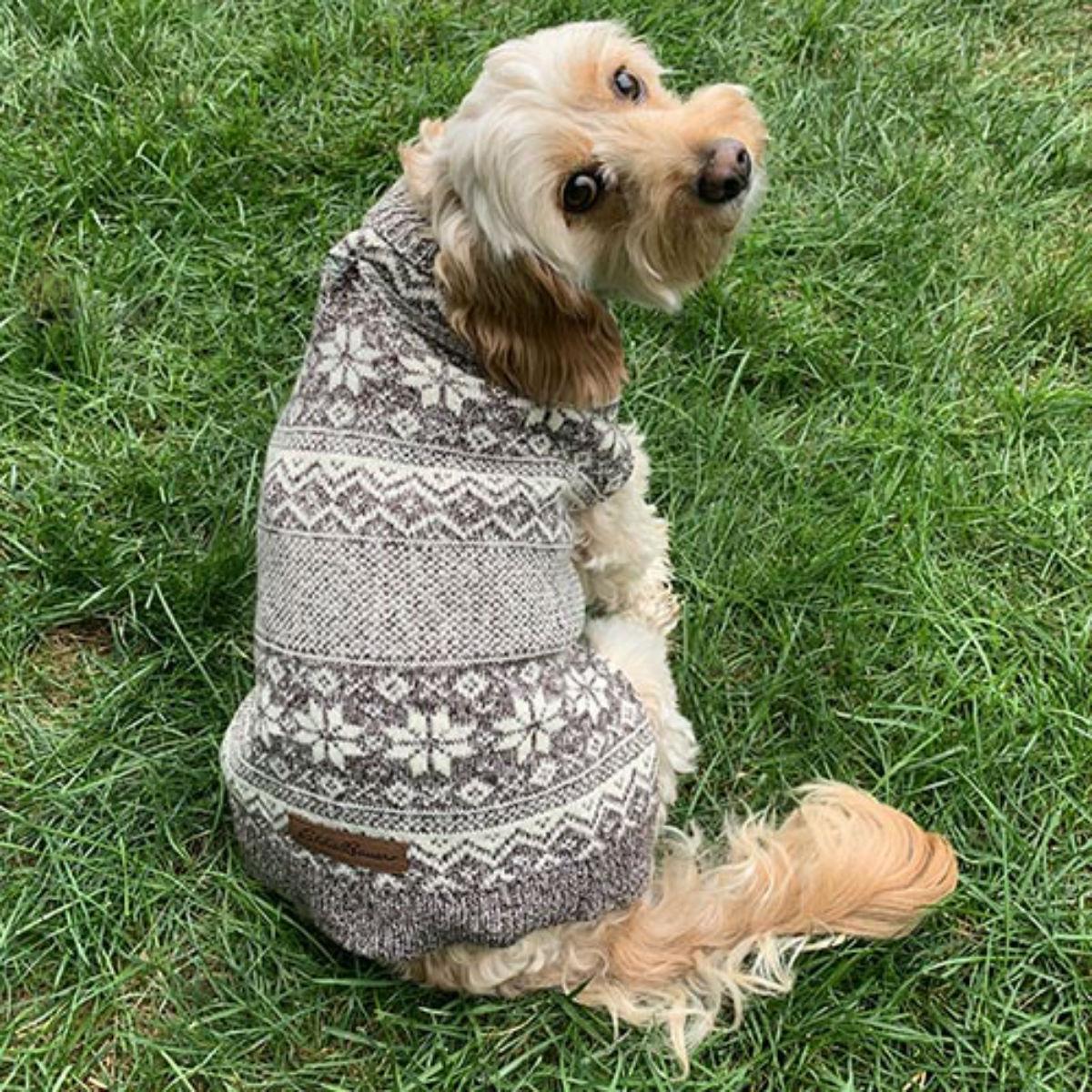Eddie Bauer Legend Snowflake Dog Sweater - Oatmeal Heather
