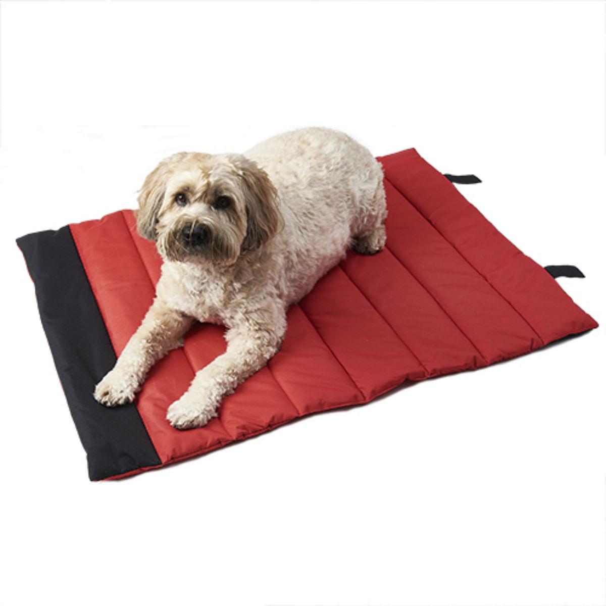 red travel dog bed