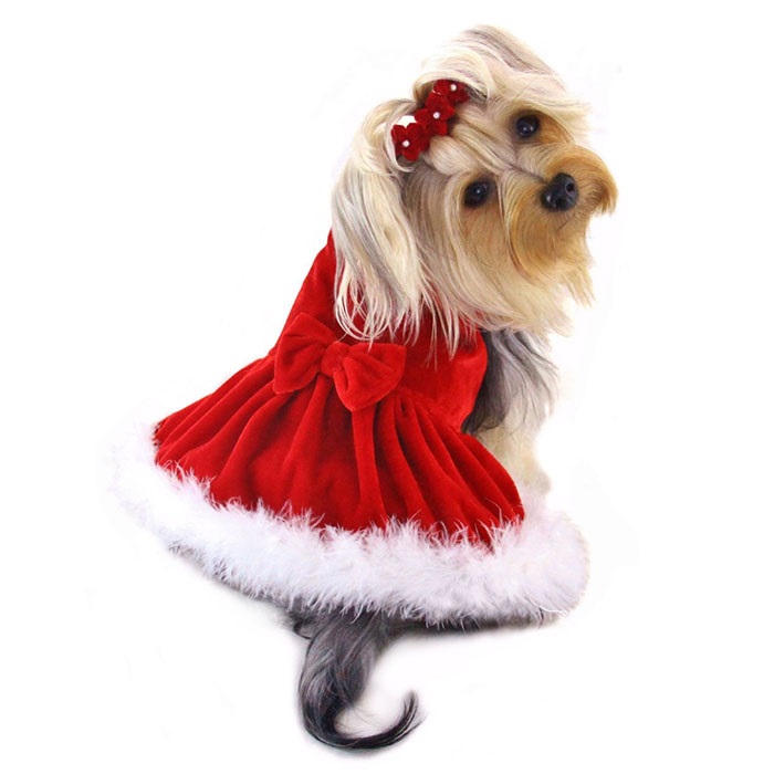 Elegant Christmas Furry Dog Dress by Klippo BaxterBoo