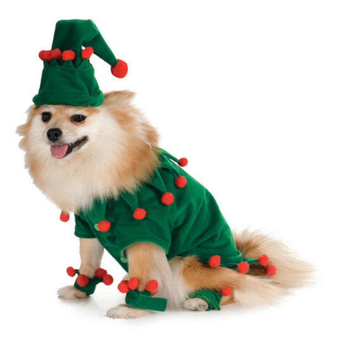 Elf Dog Costume by Rubies