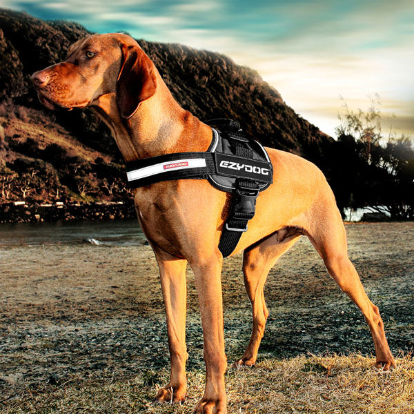 EzyDog Convert Dog Harness - Charcoal