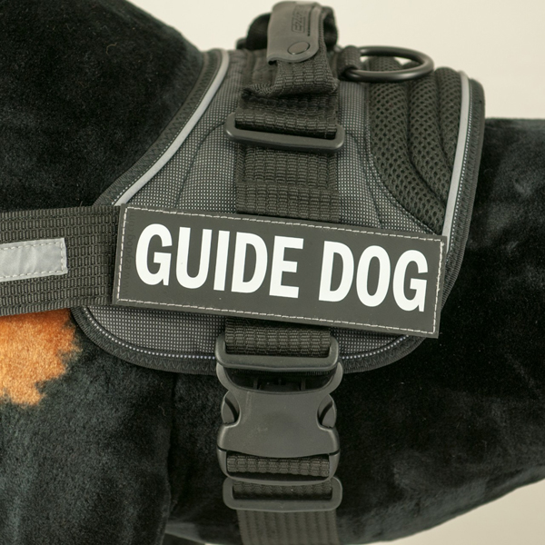 EzyDog Side Patches for Convert Harness - Guide Dog