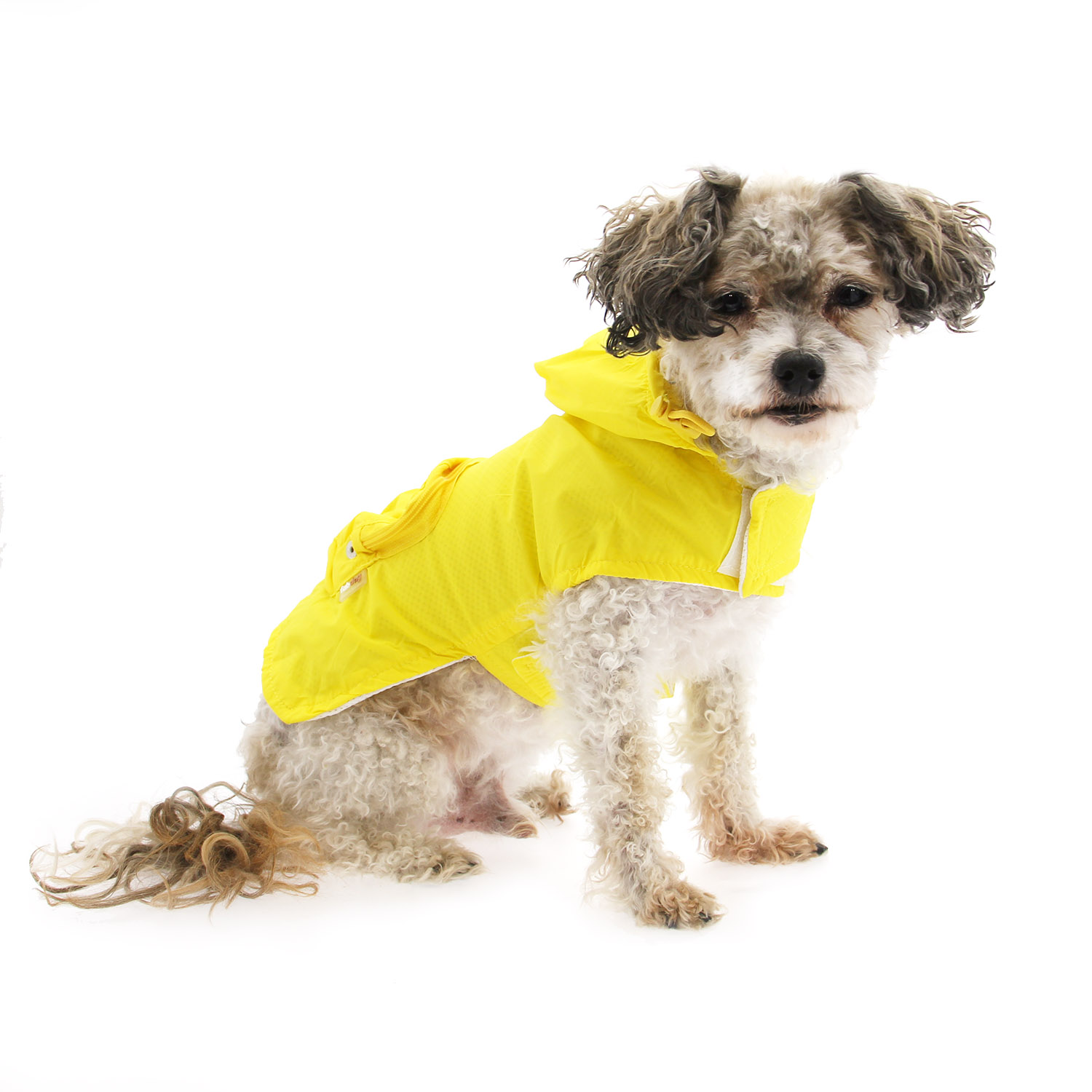 Fab dog travel clearance raincoat