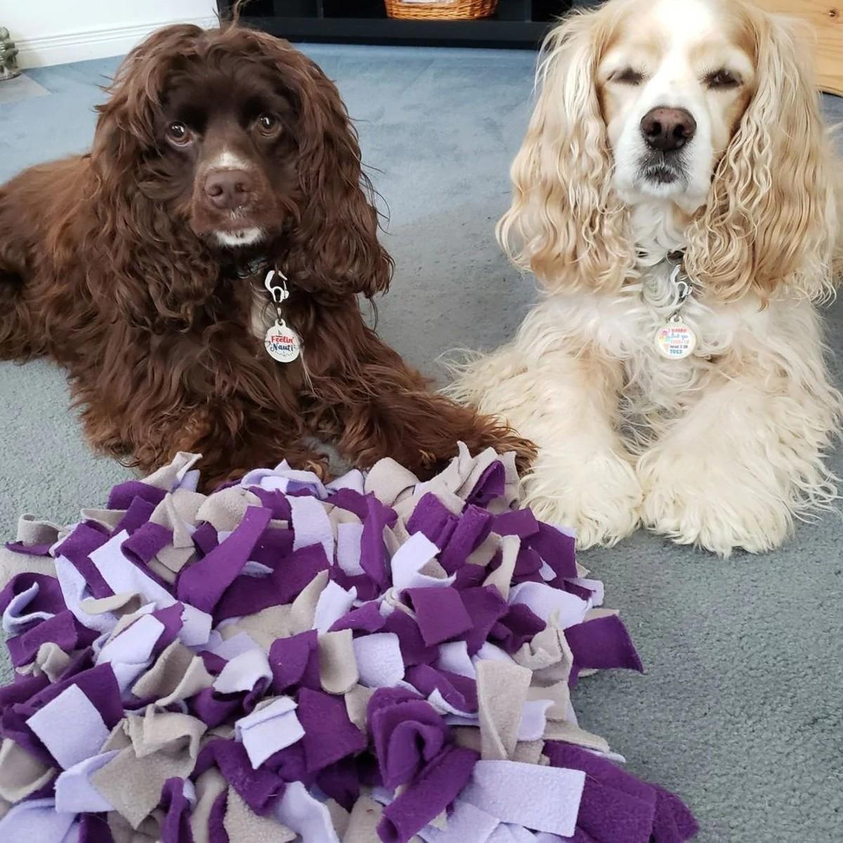 fouFIT Hide 'n Seek Snuffle Mat Dog Toys, Purple