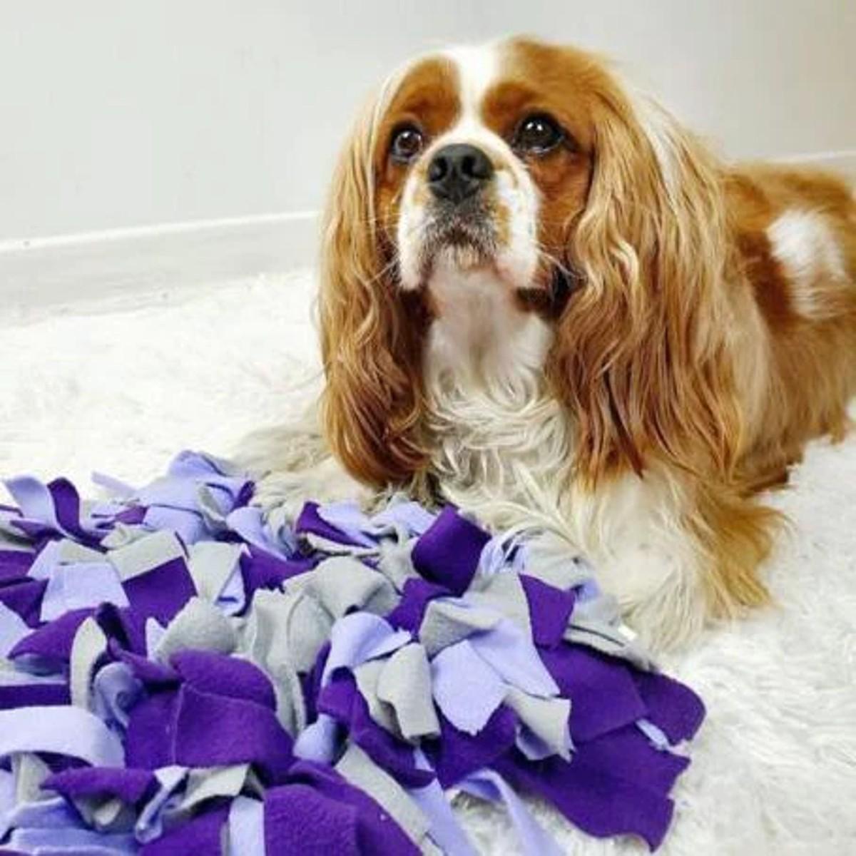 fouFIT Hide 'n Seek Snuffle Mat Dog Toys, Purple