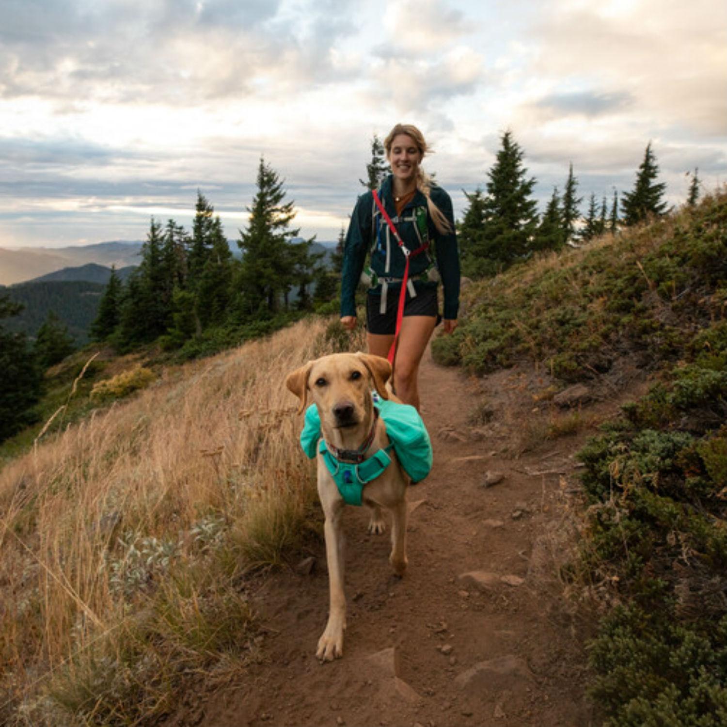 Front Range Day Pack Dog Harness by RuffWear BaxterBoo