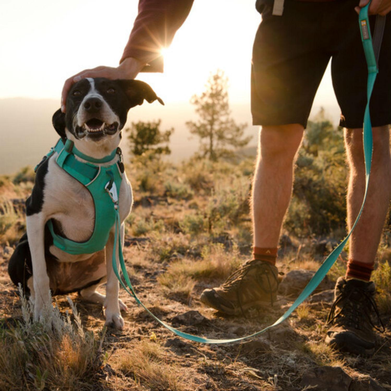 Front Range™ Dog Collar