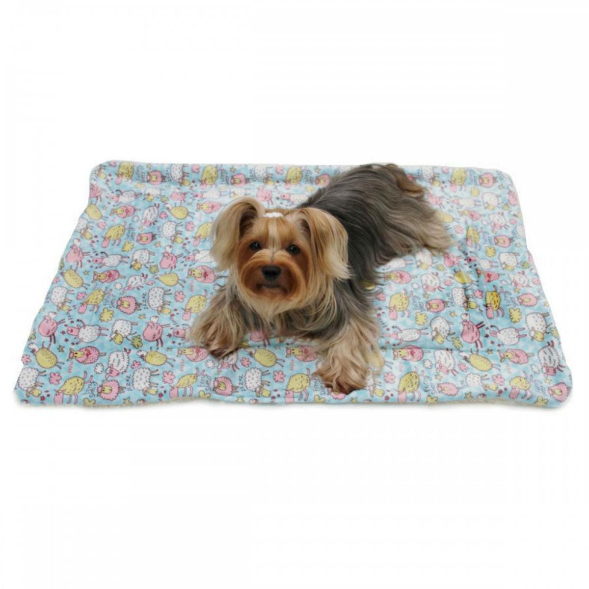 plush dog blanket