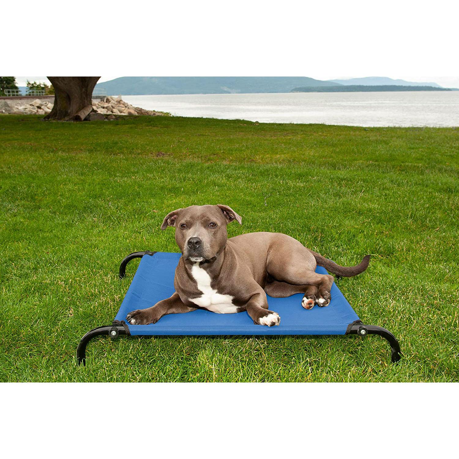 Furhaven Elevated Reinforced Cot Dog Bed De... BaxterBoo
