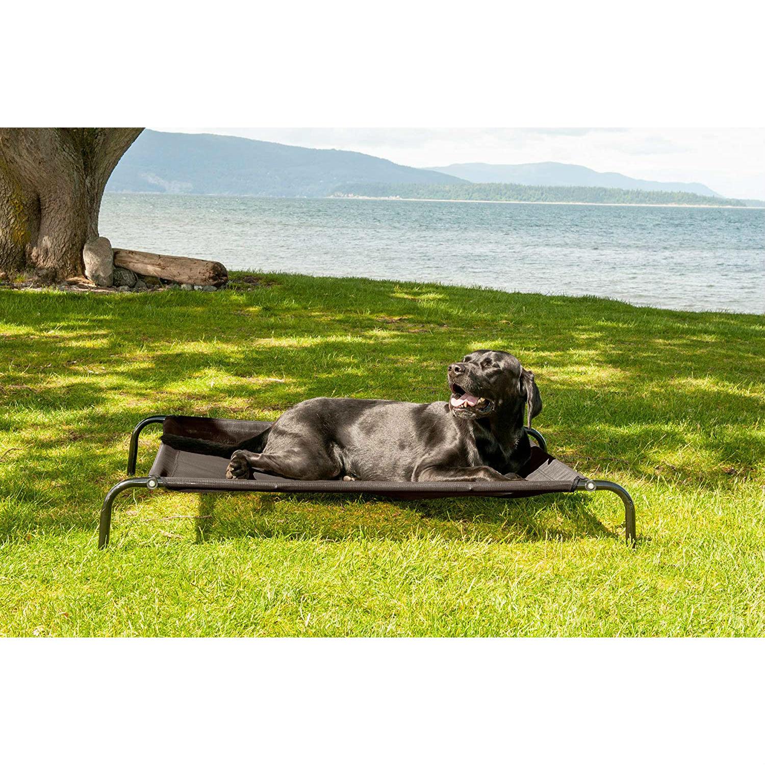 Furhaven Elevated Reinforced Cot Dog Bed Es... BaxterBoo