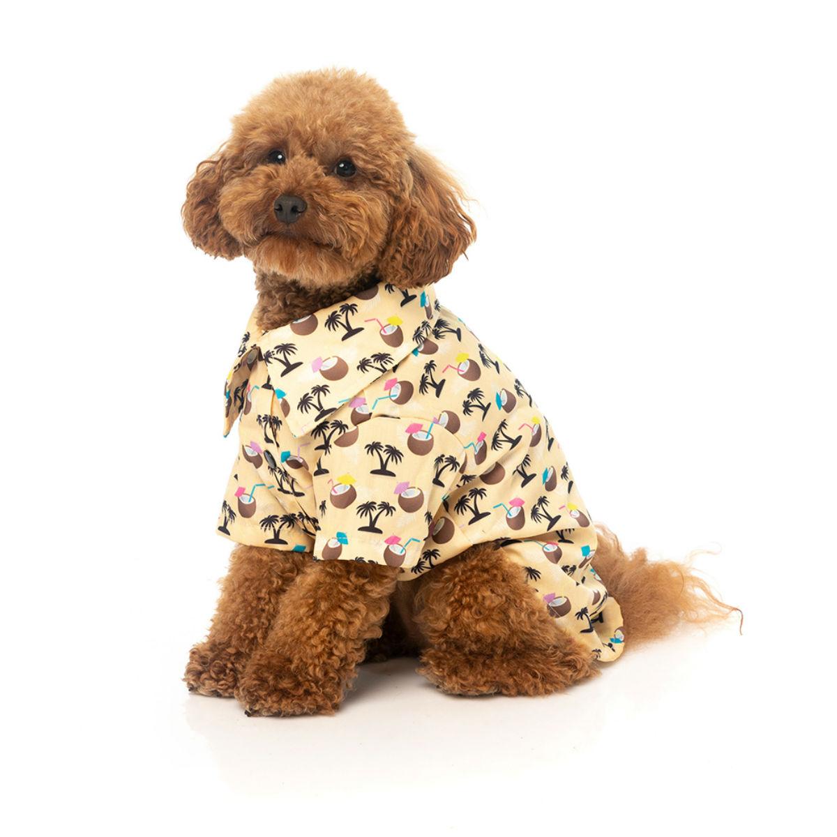 FuzzYard Sandy Coconuts Hawaiian Dog Shirt | BaxterBoo