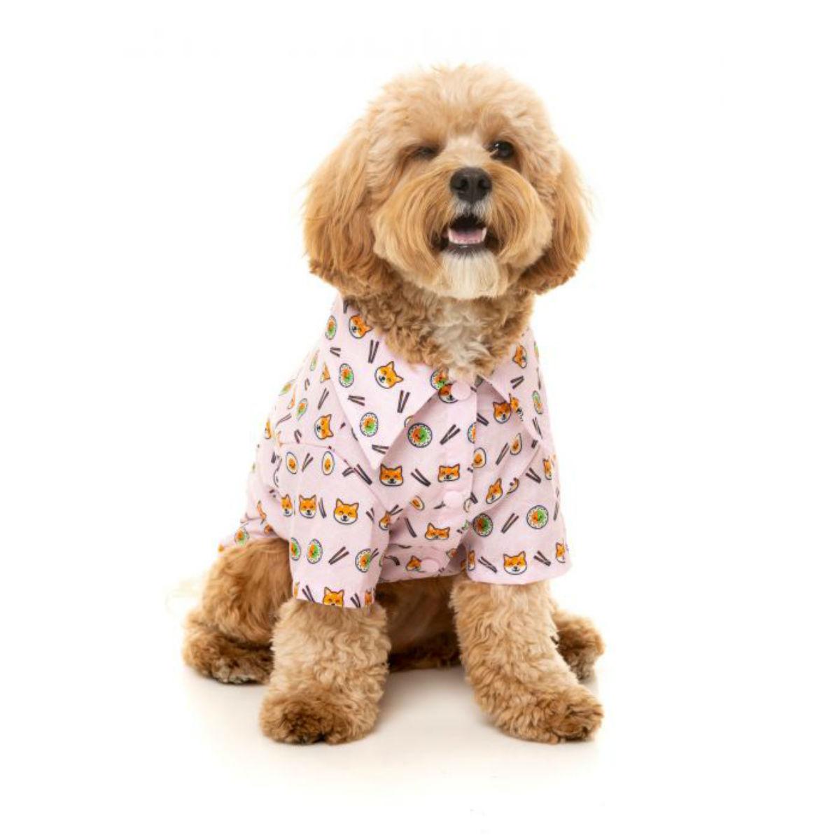 dog button up shirt