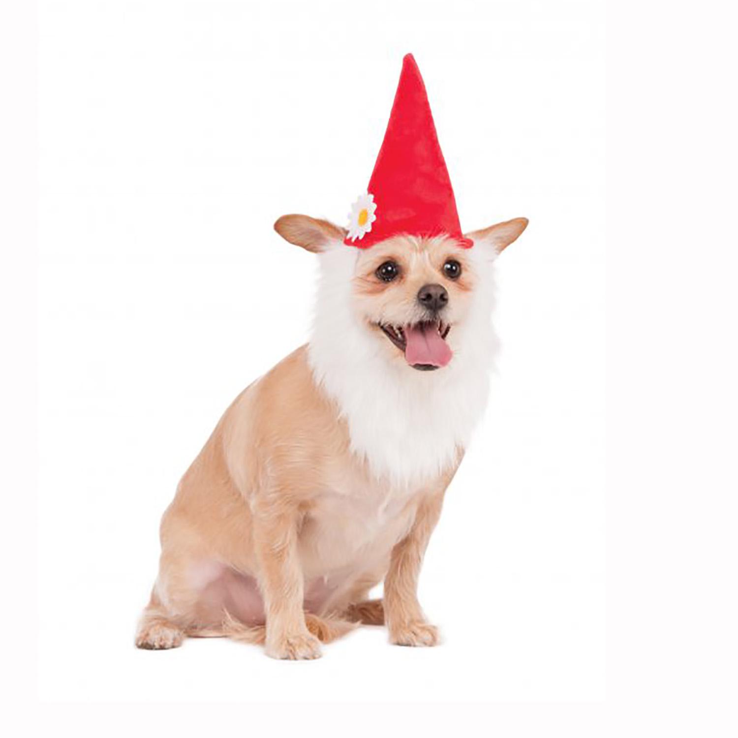 Garden Gnome Dog Hat With Beard